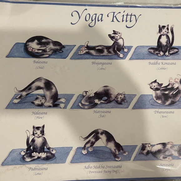 🐱 Yoga Kitty print with 9 yoga poses - Picture 4 of 10
